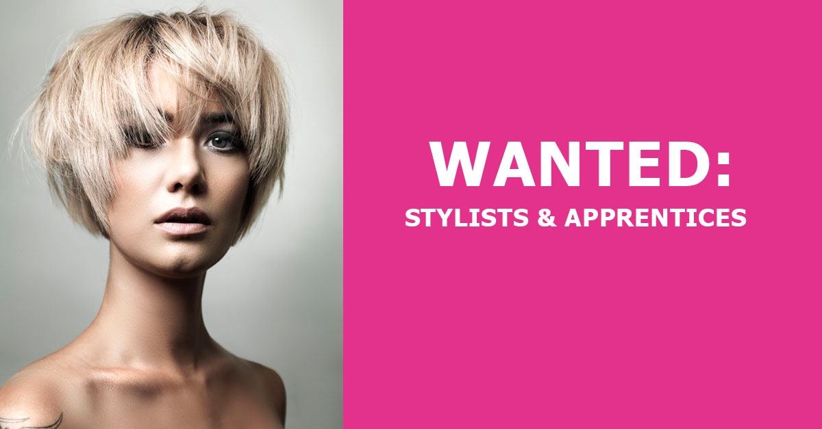 Hair Stylist & Apprentice Jobs, Hair Salon, Guiseley, Leeds